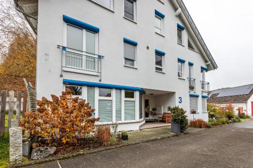 a white building with blue shutters on a street at Fewo-Gottmadingen in Gottmadingen