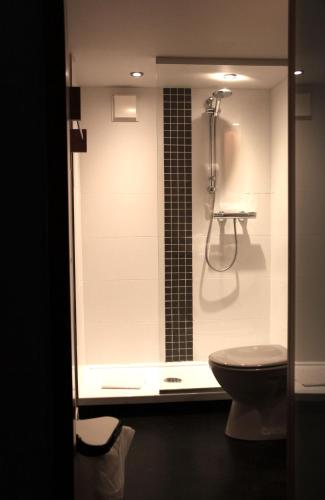 a bathroom with a shower and a toilet at Hôtel Val de Poix- Logis Hôtel Restaurant in Saint-Hubert