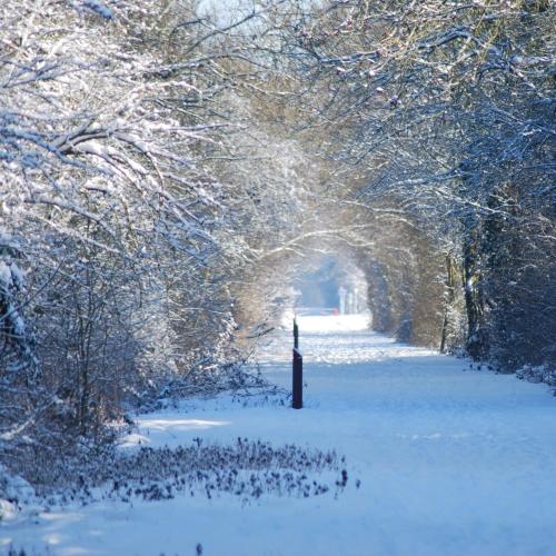 a snow covered path in a park with trees at Roulotte Ravel-Emoi Chambre Insolite de Charme in Ramillies