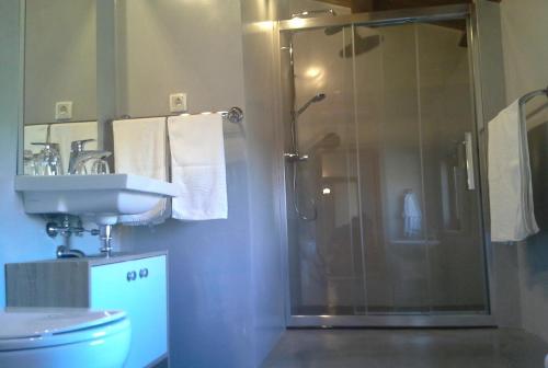 a bathroom with a shower and a sink at B&B Morena in Labin