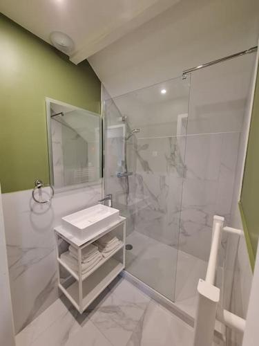 une salle de bain avec une douche en verre et un lavabo dans l'établissement Grande maison élégante, à Argenteuil