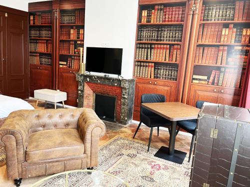 a living room with a fireplace and a chair and a television at Dejean Vintage-wifi-centre-ville-Vélo in Castelnaudary