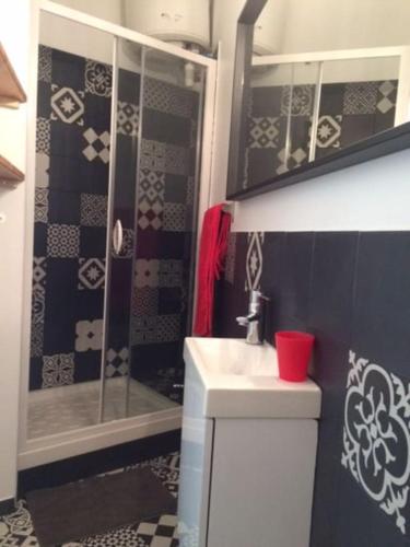 une salle de bain avec un lavabo et une douche dans l'établissement petit logement coquet, à Avignon