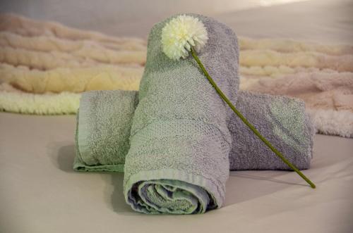 une serviette avec une fleur au dessus dans l'établissement Maisonnette très appréciée entre Mer et Nature Climatisée avec Cuisine Terrasse Parking, à Villeneuve-Loubet