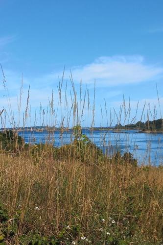 a body of water with tall grass in the foreground at Villa pour 6 pers - vue mer - 5 min d'un site magnifique - Lanmodez - Paimpol, Côtes d'Armor, Bretagne in Lanmodez