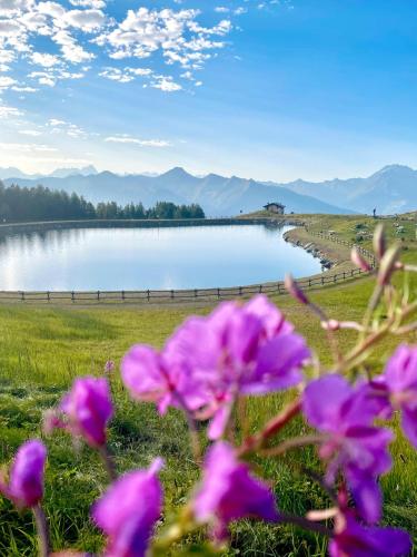 a bunch of purple flowers in front of a lake at Alpine Dream House - Chalet in Gressan