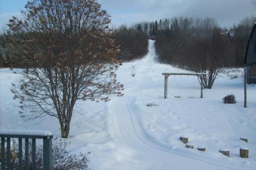 a snow covered yard with a tree and a swing at La Belle Époque in La Malbaie