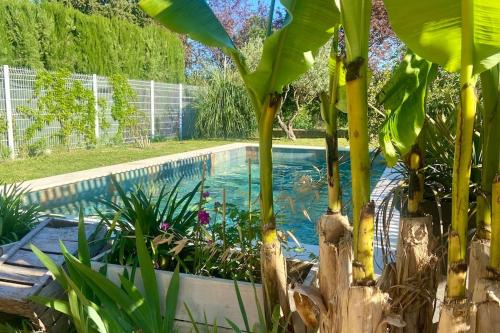 - une piscine entourée de plantes dans l'établissement Villa avec piscine entre terre et mer, à Saint-Hilaire-de-Brethmas