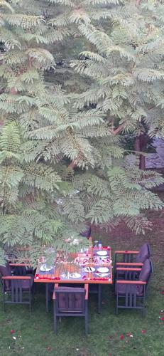 a table and chairs in front of a large tree at National Park Hotel in Baljurashi