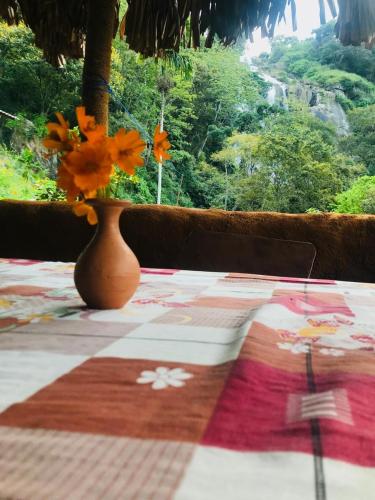 Un jardín fuera de Ella Jungle Rock
