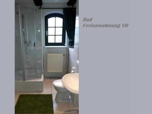 a bathroom with a white toilet and a sink at Ferienwohnungen im Bauernhaus _ Ob in Papendorf