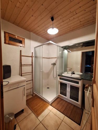 une salle de bain avec douche et lavabo dans l'établissement Les chambres du Ray-Pic, à Péreyres