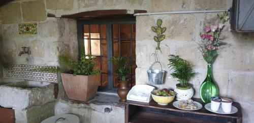 a table with potted plants on it next to a window at Il rifugio del duca in Solopaca