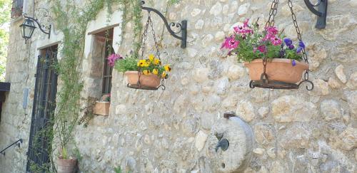 a stone wall with potted flowers on it at Il rifugio del duca in Solopaca