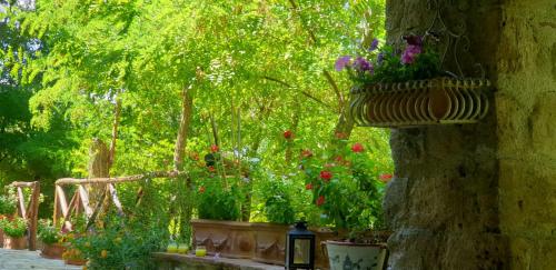 a group of flowers in a garden with a tree at Il rifugio del duca in Solopaca