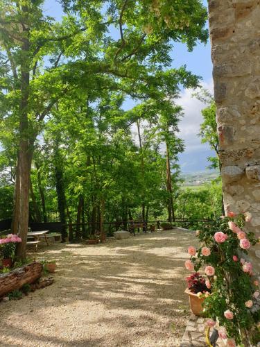 a pathway with trees and flowers in a park at Il rifugio del duca in Solopaca
