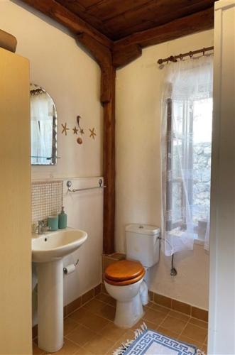 a bathroom with a toilet and a sink at Hoolit House in Vournikás