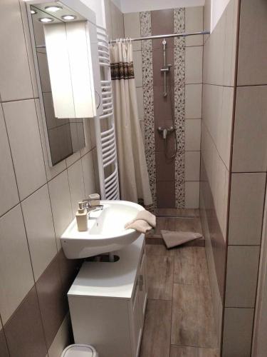 a white bathroom with a sink and a shower at EszE Vendégszoba in Tata