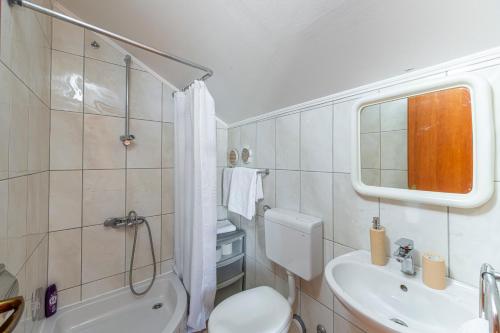 a bathroom with a toilet and a sink at Villa Nick in Cavtat