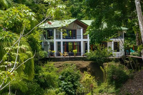 Zahrada ubytování The Jungle Inn