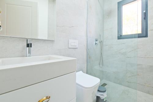 une salle de bain blanche avec un lavabo et des toilettes dans l'établissement Appartement de vacances Carsac 2, à Carsac-de-Gurson