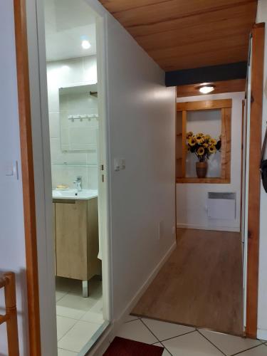 une salle de bain avec un lavabo et un miroir dans l'établissement Appartement Calme et Spacieux, à Cauterets