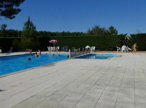 - une piscine avec des hommes et des animaux dans l'eau dans l'établissement La maison des glycines, à Onesse-et-Laharie