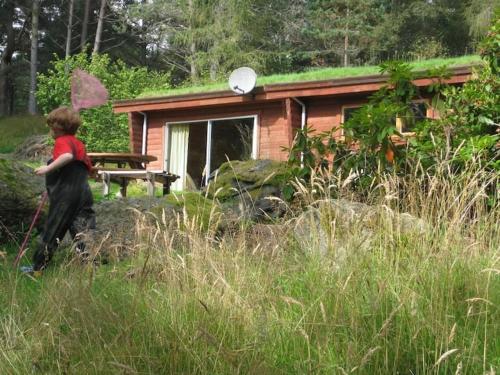 a young boy walking in front of a cabin at Our Log House in the woods in Balnald