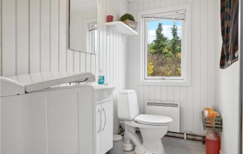 a white bathroom with a toilet and a window at Nice Home In Bogø By With Wifi in Bogø By
