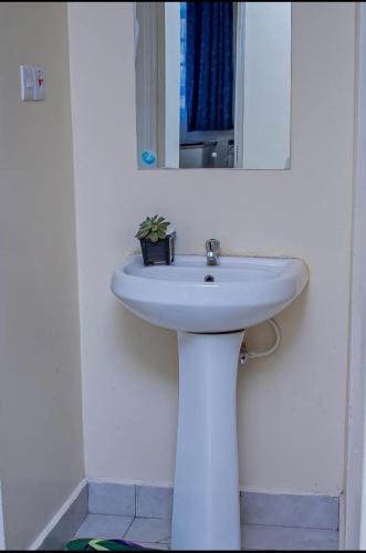 a white bathroom sink with a mirror and a potted plant at Olive Homes Thika Town in Thika