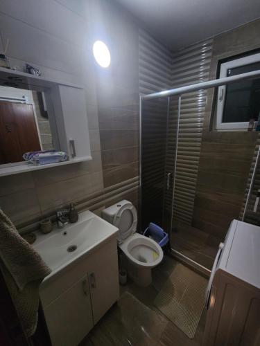 オフリドにあるMishe Apartmentsのトイレ、シャワー、洗面台を備えたバスルーム