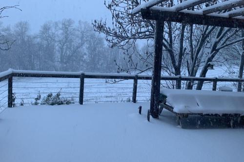 une cour enneigée avec une clôture et des arbres dans l'établissement Maison pour familles ou groupes, à Puy-Saint-Eusèbe