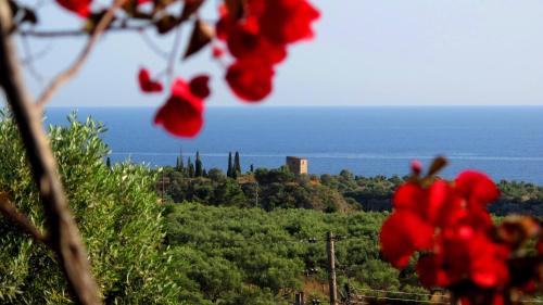 a view of the ocean from a tree at Papanestoras Apartments in Kardamili