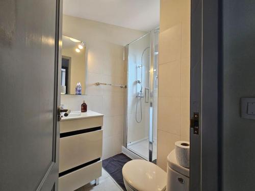 une salle de bain avec une douche, des toilettes et un lavabo dans l'établissement Centre-ville historique - T3 rénové & moderne, à Toulouse