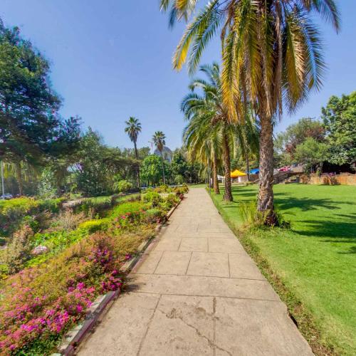 a path in a park with palm trees and flowers at GHION HOTEL in Addis Ababa