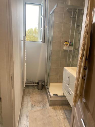 une salle de bain avec douche et lavabo dans l'établissement Magnifique T2 Toulouse centre, à Toulouse