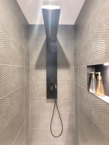 une douche avec pommeau de douche dans une salle de bain dans l'établissement Logement avec jacuzzi et sauna en terrasse, belle vue panoramique, à La Combe-de-Lancey