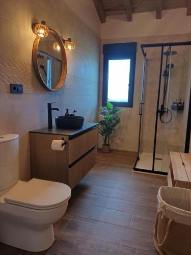 a bathroom with a toilet and a sink and a shower at Casa María 2 in Barcia