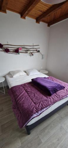 Gîtes les Coquelicots d'Alsace