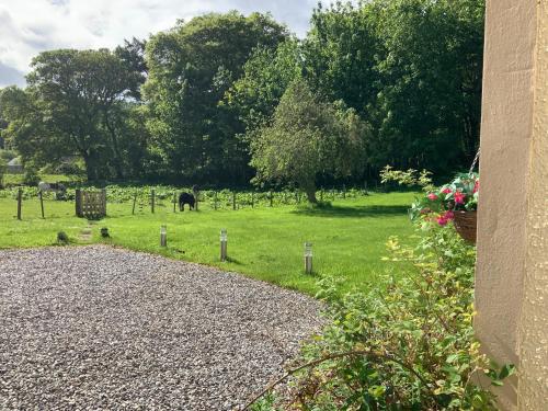 a field with a cow grazing in a field with trees at Antfield house in Inverness
