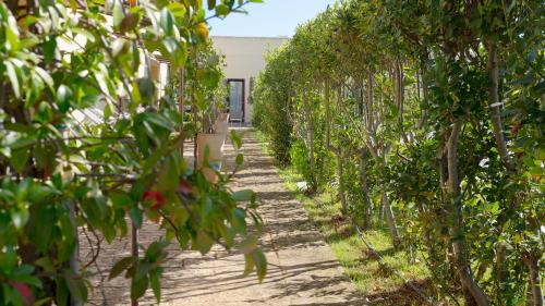a row of apple trees in a garden at Delle Rose Horses Club in Torre Vado