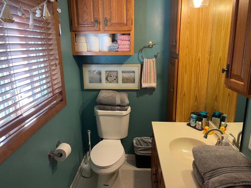 a bathroom with a toilet and a sink at Near downtown with hot tub sleeps seven in Blacksburg