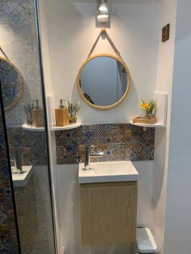 une salle de bain avec un lavabo et un miroir dans l'établissement Studette Le figuier, à Perpignan