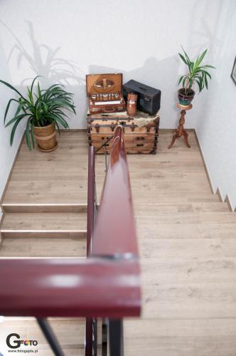 a room with stairs and potted plants at Zagroda Kołodzieja in Zgorzelec
