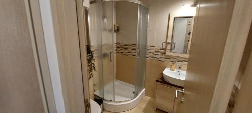 a bathroom with a shower and a toilet and a sink at Vila Zvončica, apartman Puzović 22 in Kopaonik
