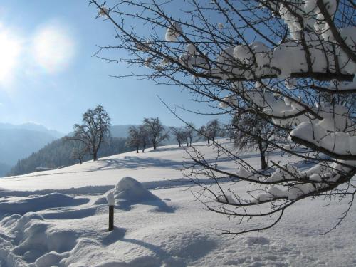 Schweizer Hof durante el invierno