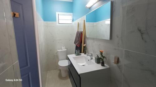 a bathroom with a sink and a toilet and a mirror at Gîtes Capra Pomme Surette piscine et spa in Bouillante