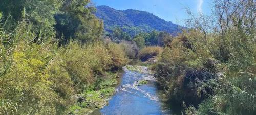 Φυσικό τοπίο κοντά σε αυτό το διαμέρισμα