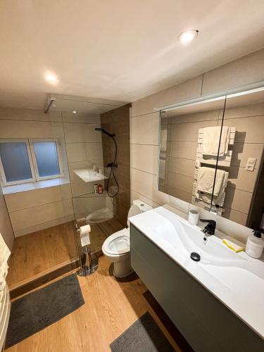 une salle de bain avec un lavabo blanc et des toilettes dans l'établissement La Dépendance d'Obernai - Parking Gratuit - Centre Ville - Commerces à proximité, à Obernai