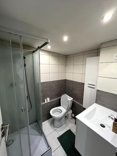 une salle de bain avec toilettes, douche et lavabo dans l'établissement Échappée marine T2 Dunkerque, à Dunkerque